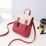 Wholesale Women Fashion Casual Contrast Color Double Buckle Backpack - Image 2