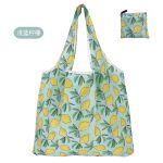 Wholesale Simple Environmental Protection Vegetables Grocery Package Bag Portable Foldable Supermarket Shopping Bag - Image 22