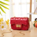 Wholesale Women Fashion Simple Solid Color Flap Metal Buckle Mini Chain Shoulder Crossbody Bag - Image 9