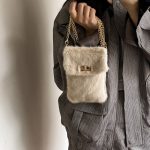 Women Fashion Casual Autumn And Winter Solid Color Plush Chain Shoulder Bag - Image 3